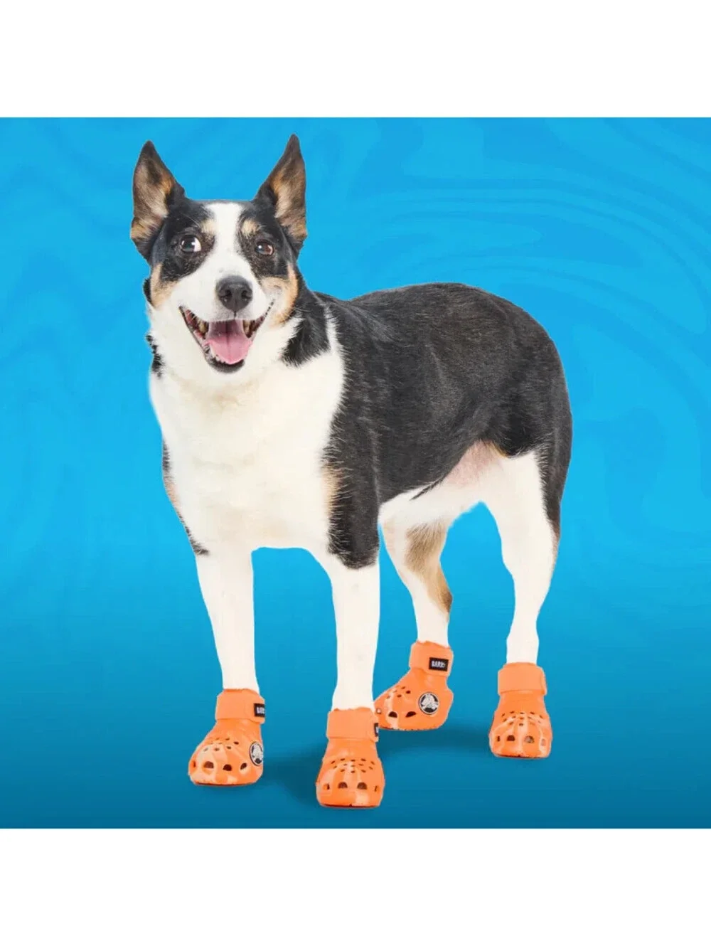 CROCS SHOES FOR DOGS ORANGE-ZING -SIZE SMALL